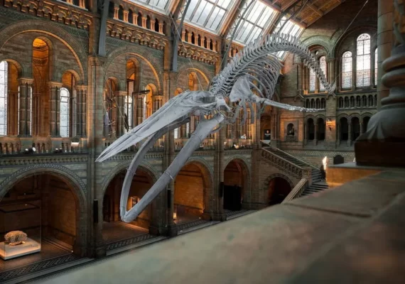 10 Best Museums in London to visit on Weekends